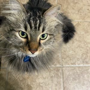 Meet your Posher, Christa